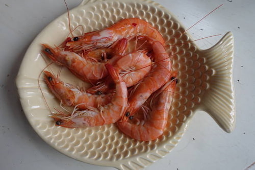 تصویر 4 از خرید و قیمت میگو تازه + فروش عمده